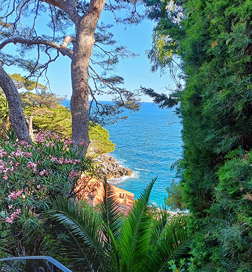 Borgo ai conti - Seaview-Costa Azzurra - La Magnolia - Camminamento vista